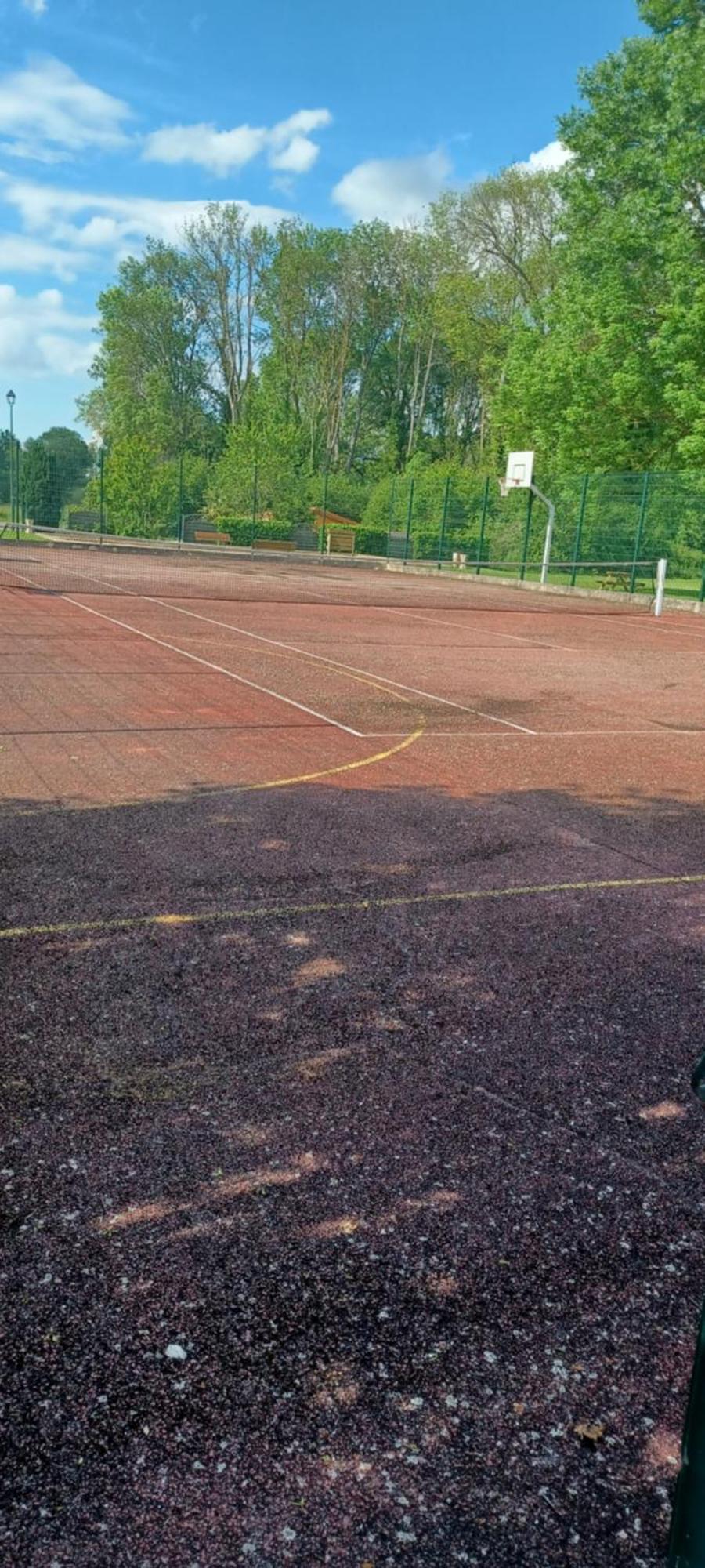Gite De La Bouvotte Neuville-sur-Vannes Esterno foto